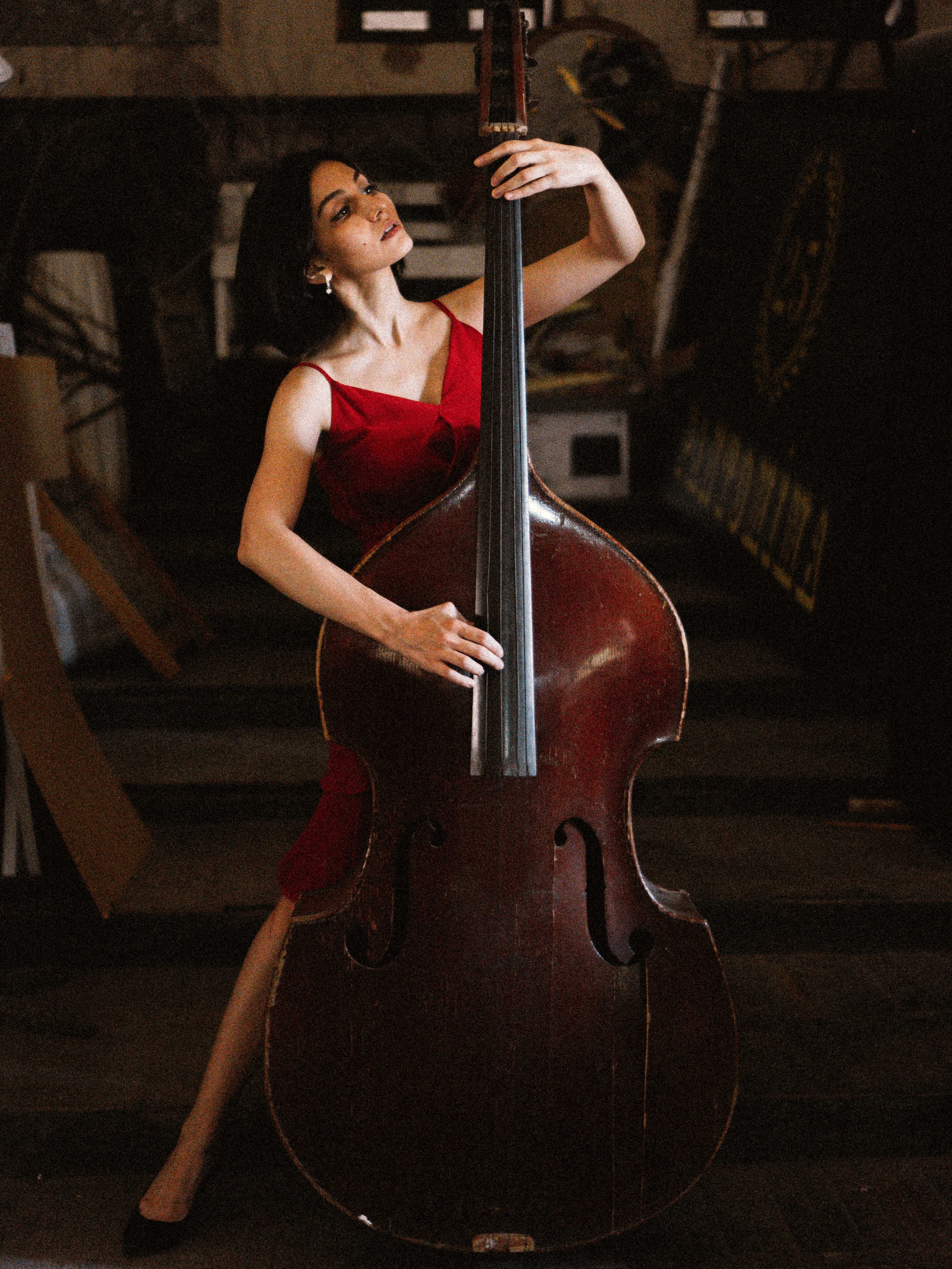 double bass image